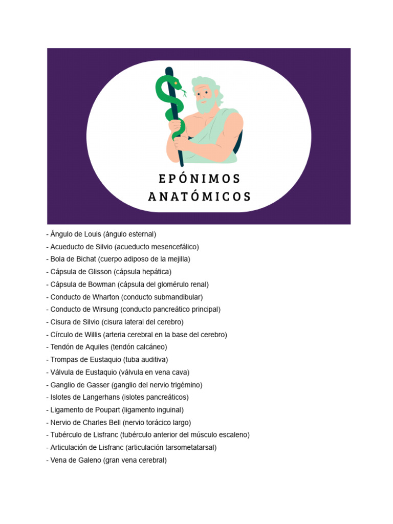 Anatomía: Estructuras y Ligamentos Clave | PDF | Cerebro | Anatomía humana