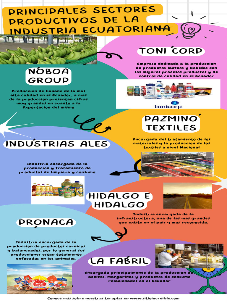 New Infography | PDF