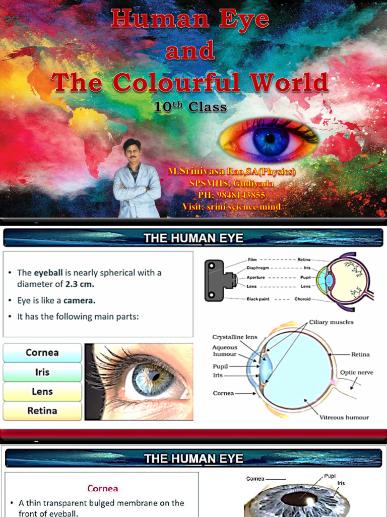 Human Eye and The Colourful World 10th | PDF