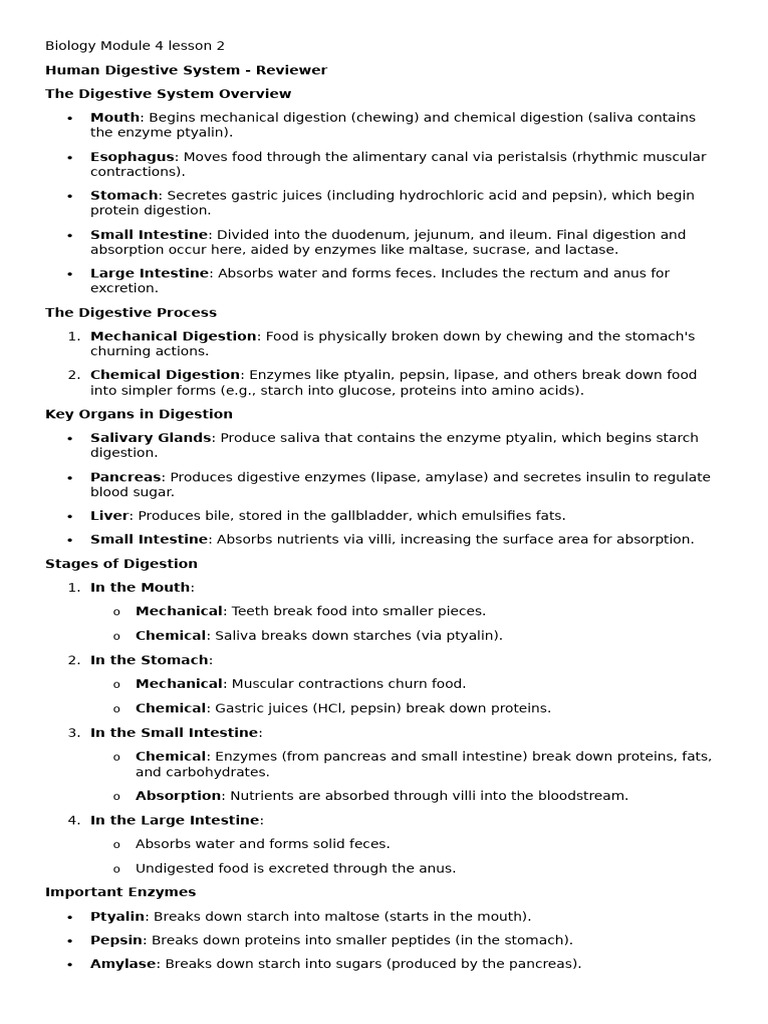 Human Digestive System Overview | PDF | Digestion | Human Digestive System