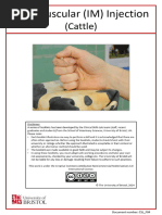 Injection Techniques for Dairy Cattle | PDF | Injection (Medicine ...