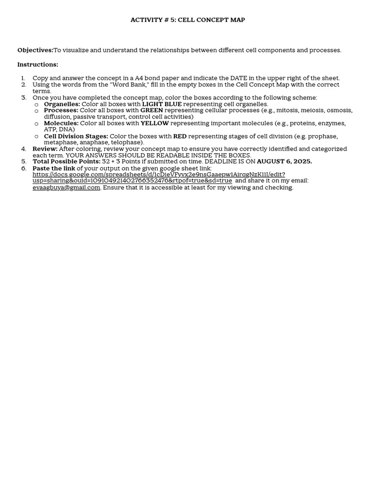 Cell Concept Map Activity Guide | PDF | Mitosis | Cell (Biology)