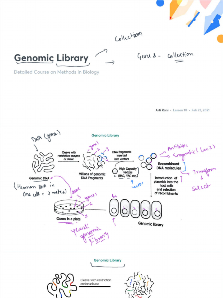 Genomic Library | PDF