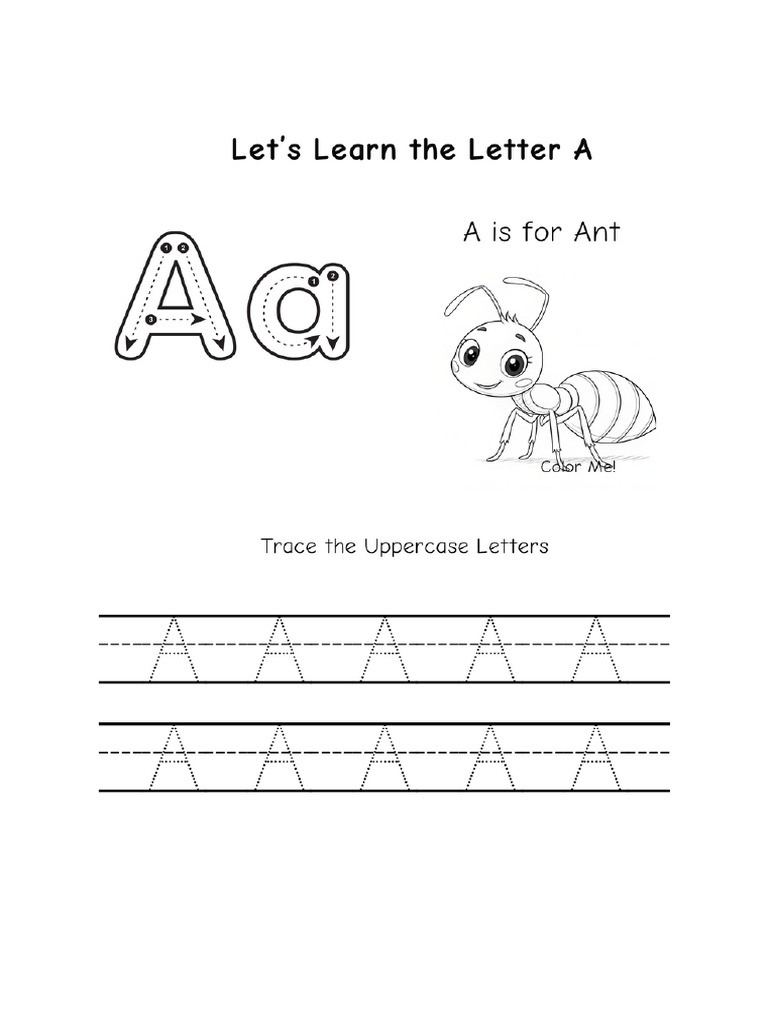 Turquoise and White Workbook Document | PDF