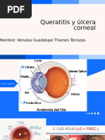 Prosp Quidex Ungüento | PDF | Corticosteroides | Medicamentos con receta