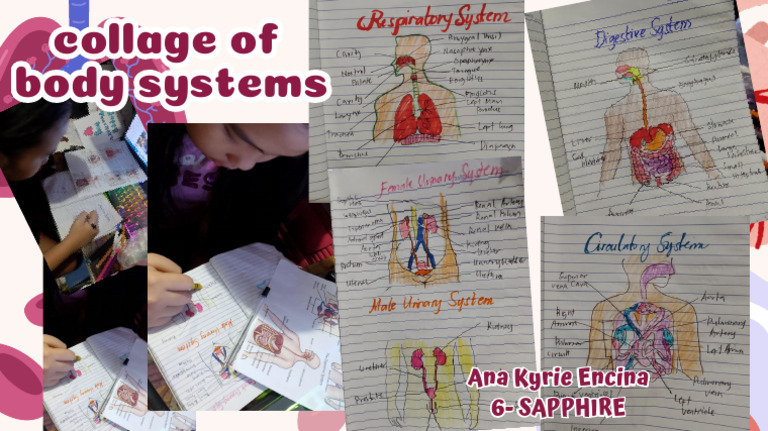 Body Systems Collage by Ana Kyrie | PDF