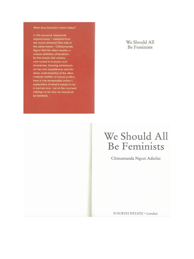We All Should Be Feminist PDF