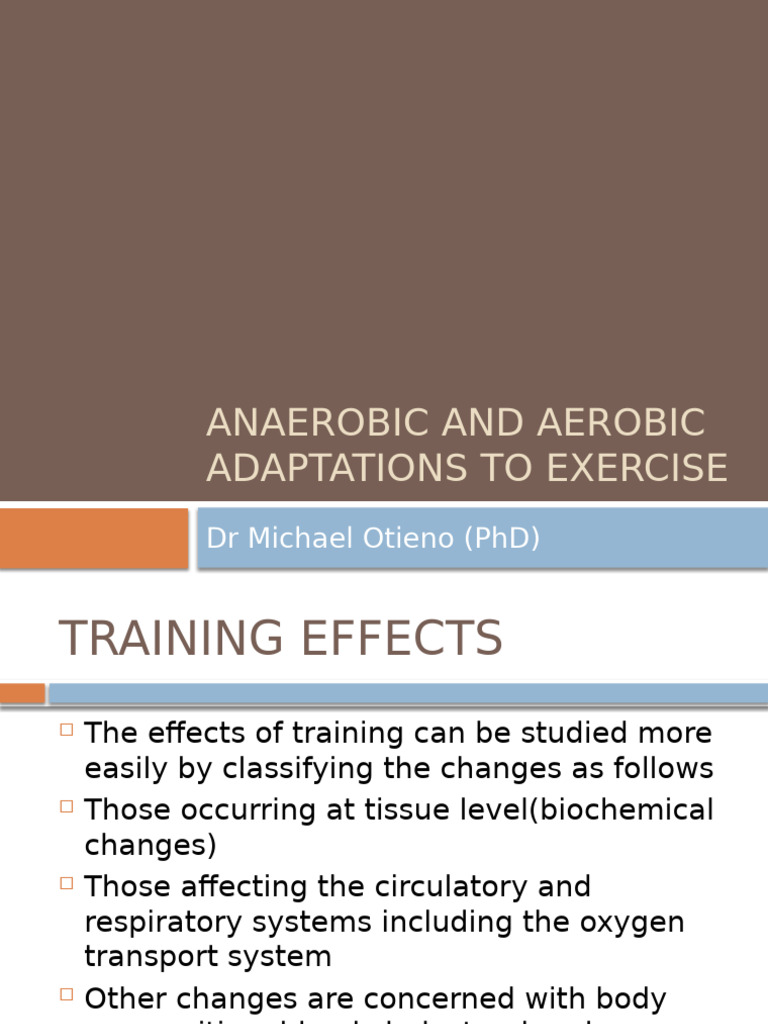Anaerobic and Aerobic Adaptations To Exercise | PDF | Glycogen ...