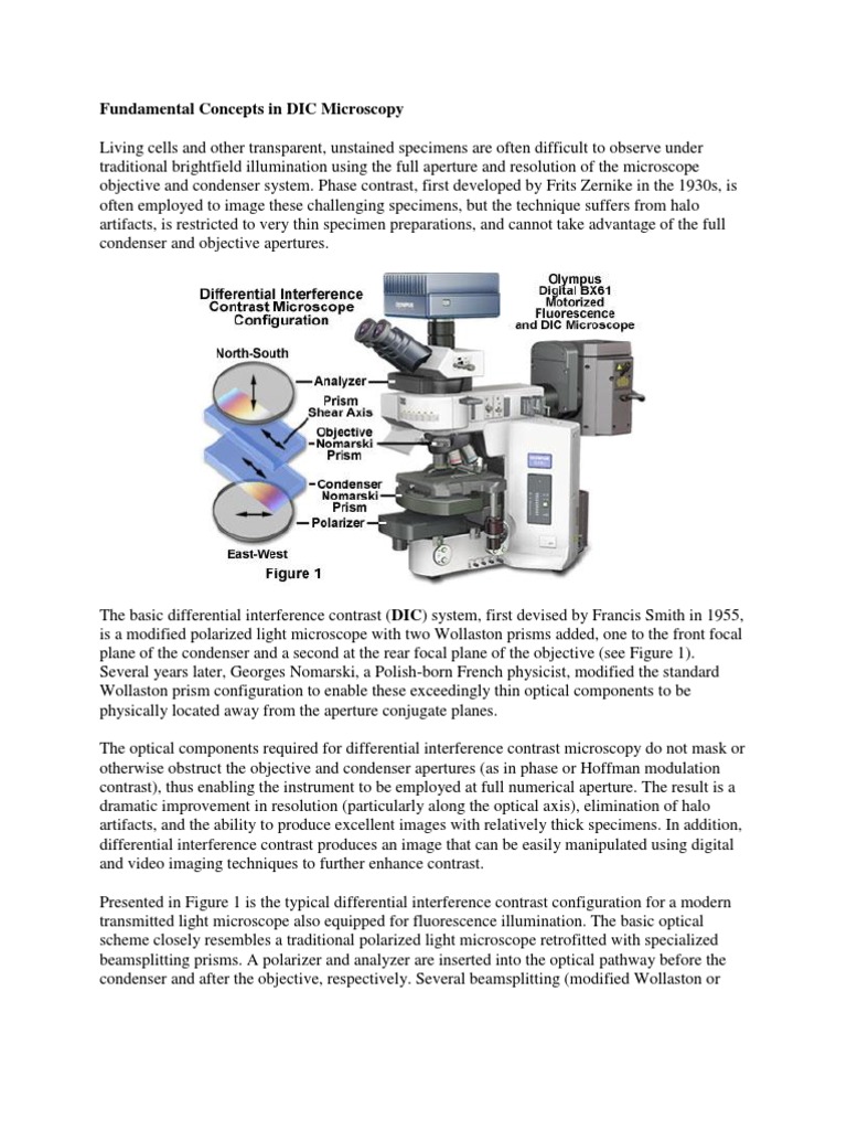 Fundamental Concepts In Dic Microscopy – WEVBZ