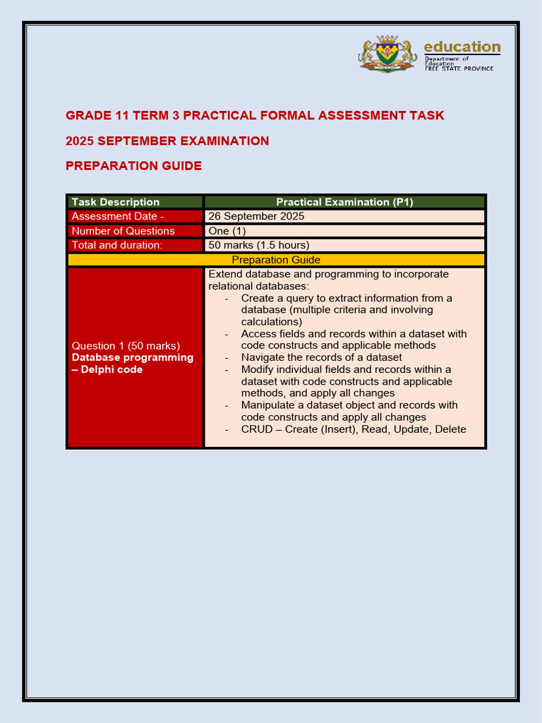 Grade 11 Database Programming Guide | PDF