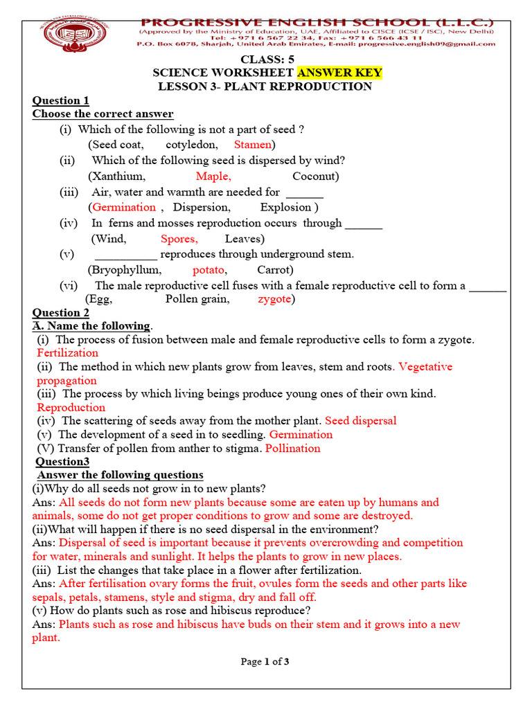 Science-Class 5-AK-Plant Reproduction2025 | PDF | Seed | Plants