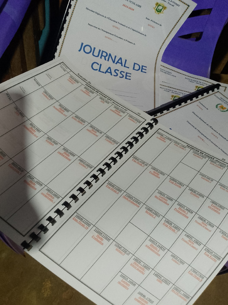 Journaux de Classe en Couleur | PDF