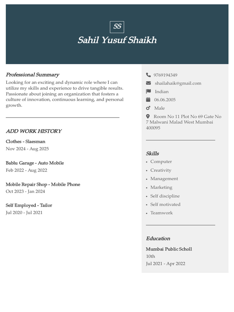 Dynamic Professional Summary and Skills | PDF