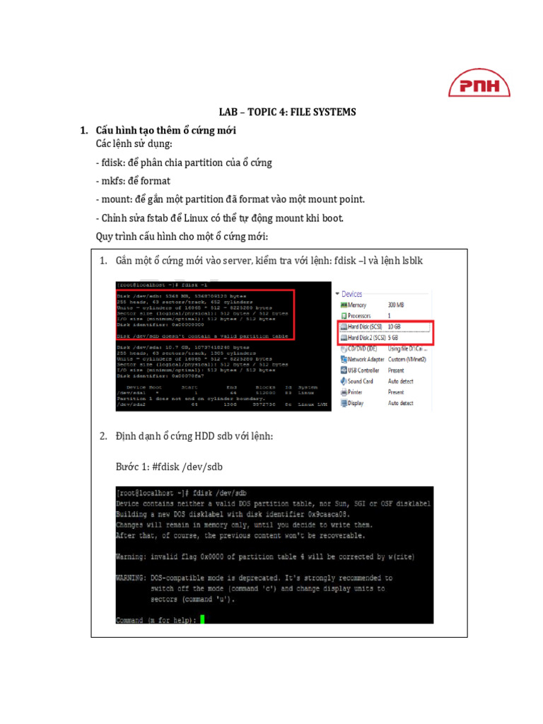 Topic 4 - Lab - File Systems | PDF