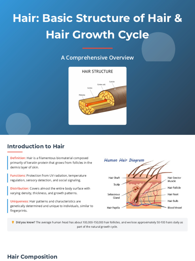 Hair Basic Structure of Hair & Hair Growth Cycle | PDF | Hair | Human Hair