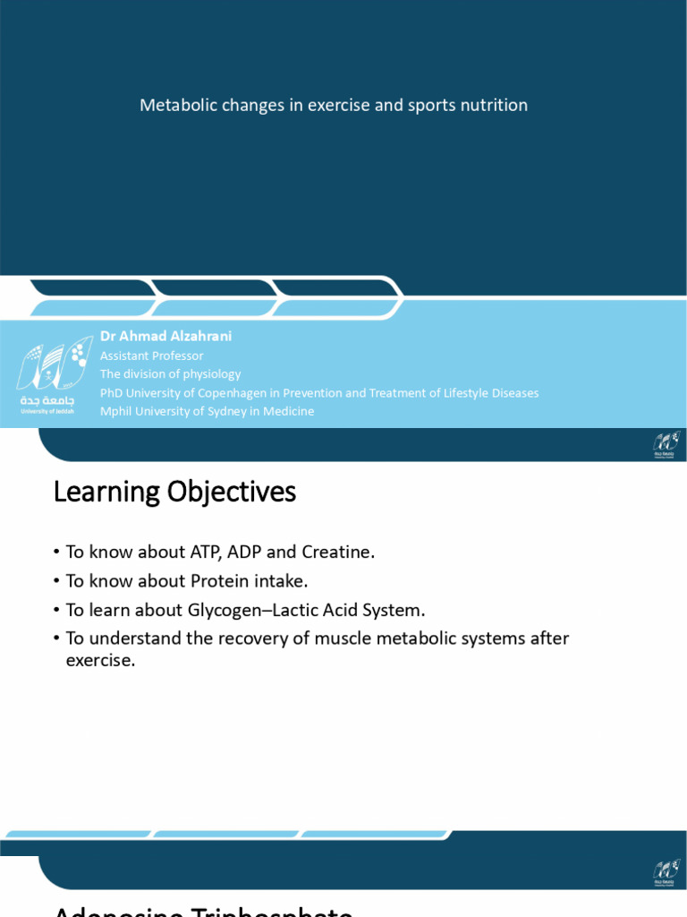 Muscle Metabolism and Nutrition Insights | PDF | Cellular Respiration ...