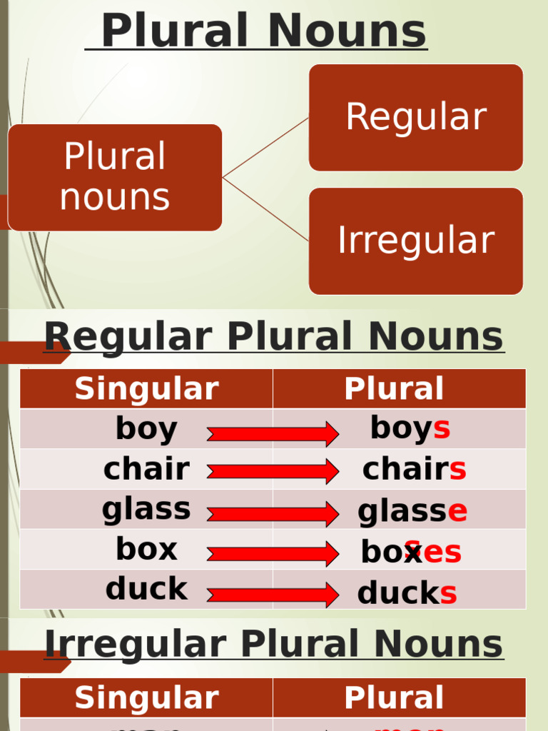 Understanding Plural Nouns Guide | PDF