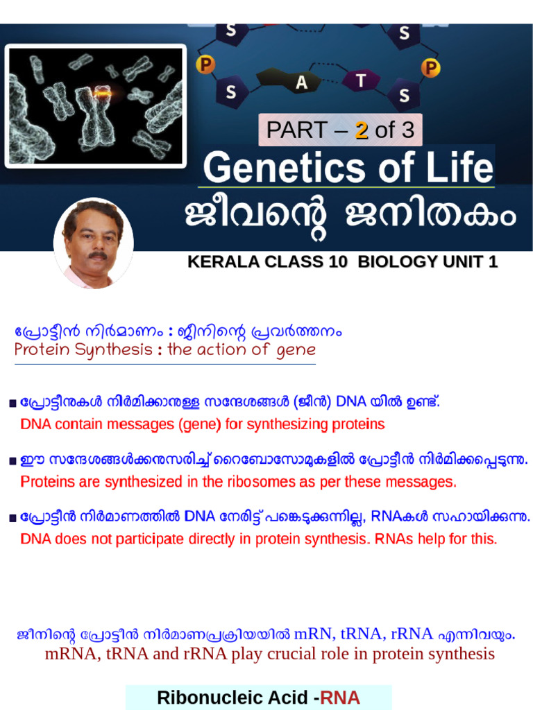 Class 10 Biology Chapter 1 - SLIDES (Part 2 of 3) - Rasheed Odakkal | PDF
