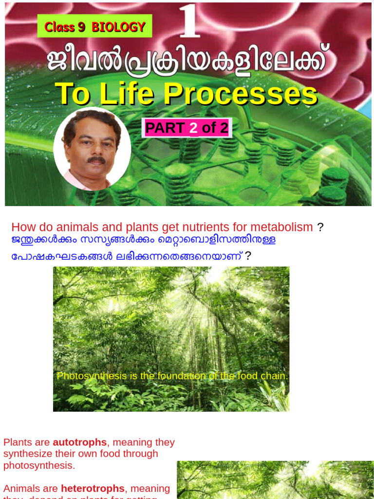 Class 9 Biology - Unit 1 - SLIDES - Part 2 of 2 - Rasheed Odakkal | PDF