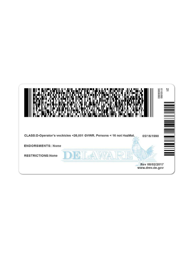 DL DW Back | PDF