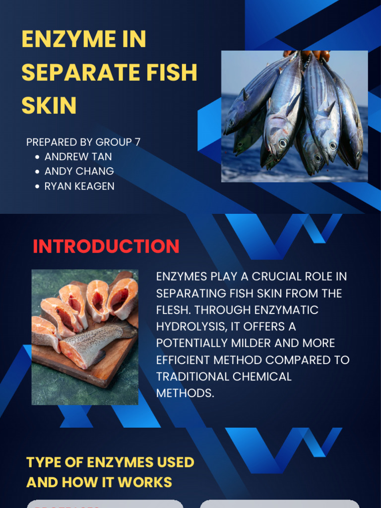 Enzymatic Fish Skin Separation Methods | PDF