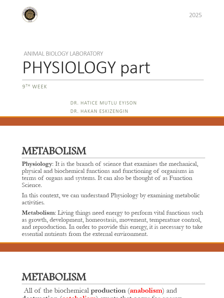 Animal Bio Lab - Physiology Main | PDF | Amino Acid | Digestion