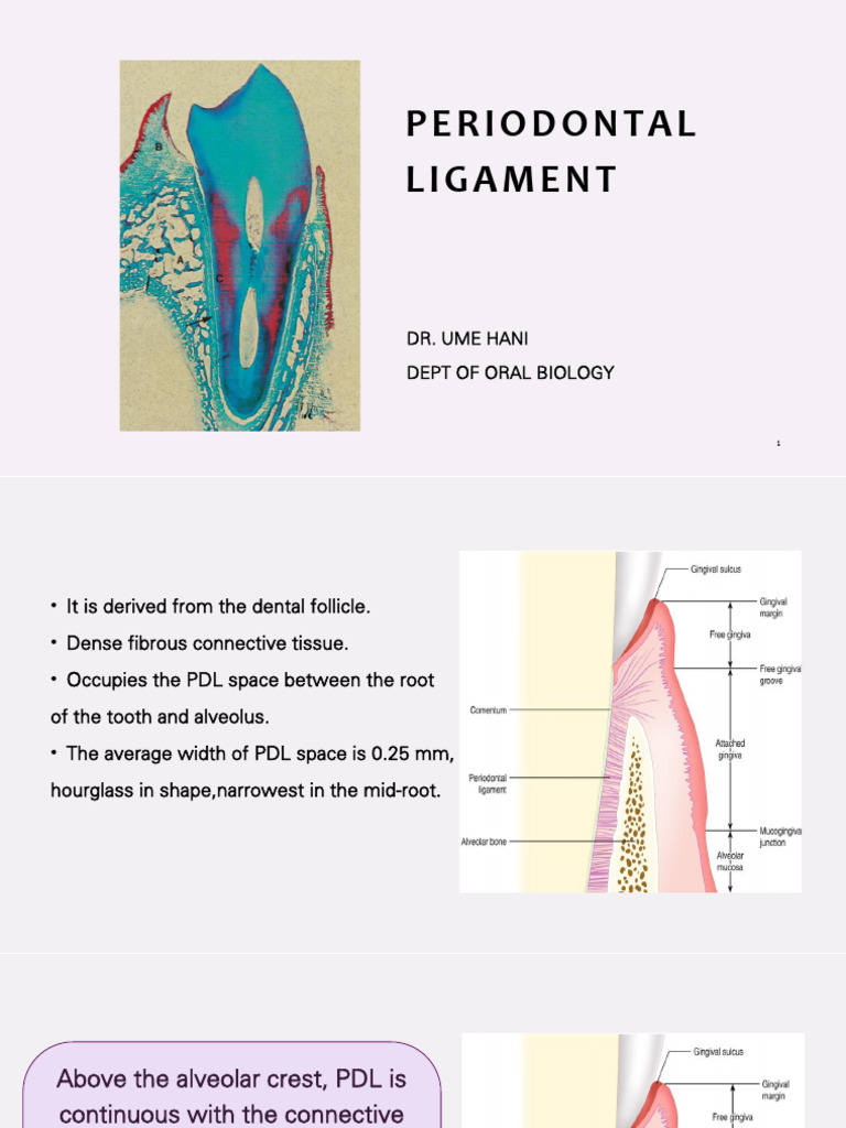 PDL Lecture Hani Pages 1 | PDF