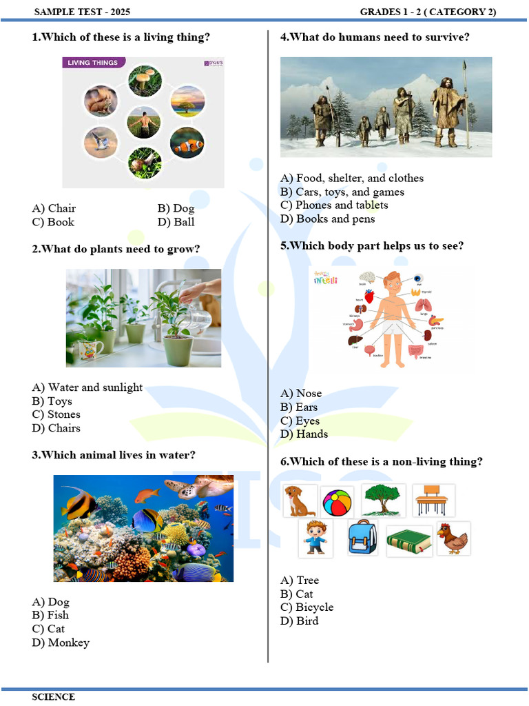 Grade 1-2 Science Sample Test 2025 | PDF | Earth
