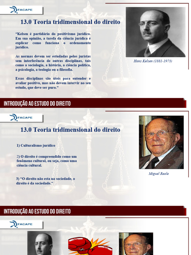 Teoria Tridimensional do Direito | PDF | Sociologia | Jurisprudência