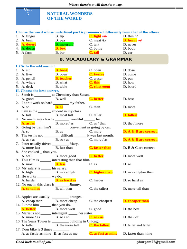 English Grammar and Vocabulary Exercises | PDF