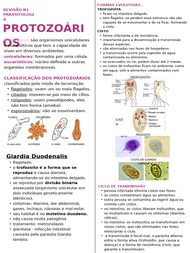 Protozoários: Classificação e Doenças | PDF | Protozoários | Biologia