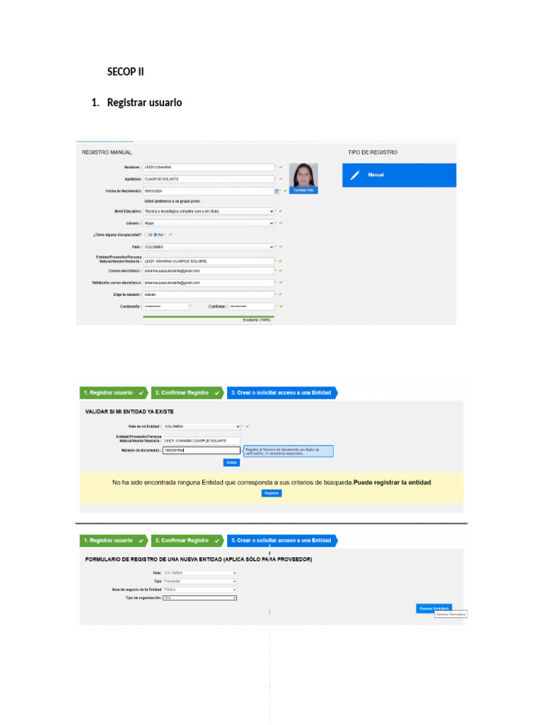 Registro Secop II | PDF