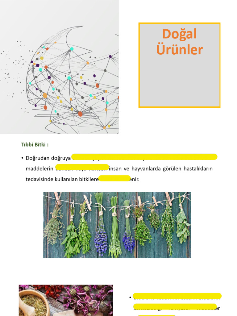 2 Hafta - 240602 - 210239 | PDF