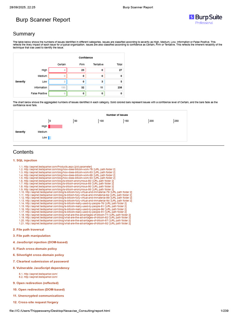 Burp Scanner Repoyyyrt | PDF | Software | Data Management