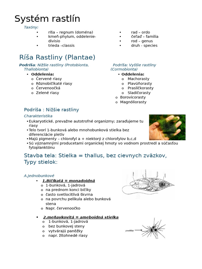 Systém Rastlín | PDF