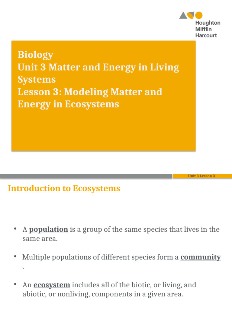 Ecosystem Energy and Matter Flow | PDF | Food Web | Ecosystem