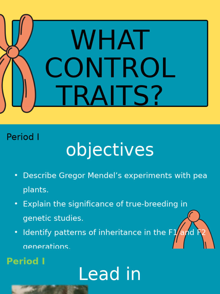 Understanding Genetic Inheritance Basics | PDF | Genotype | Dominance ...