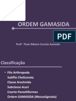 Ordem Gamasida e Oribatida