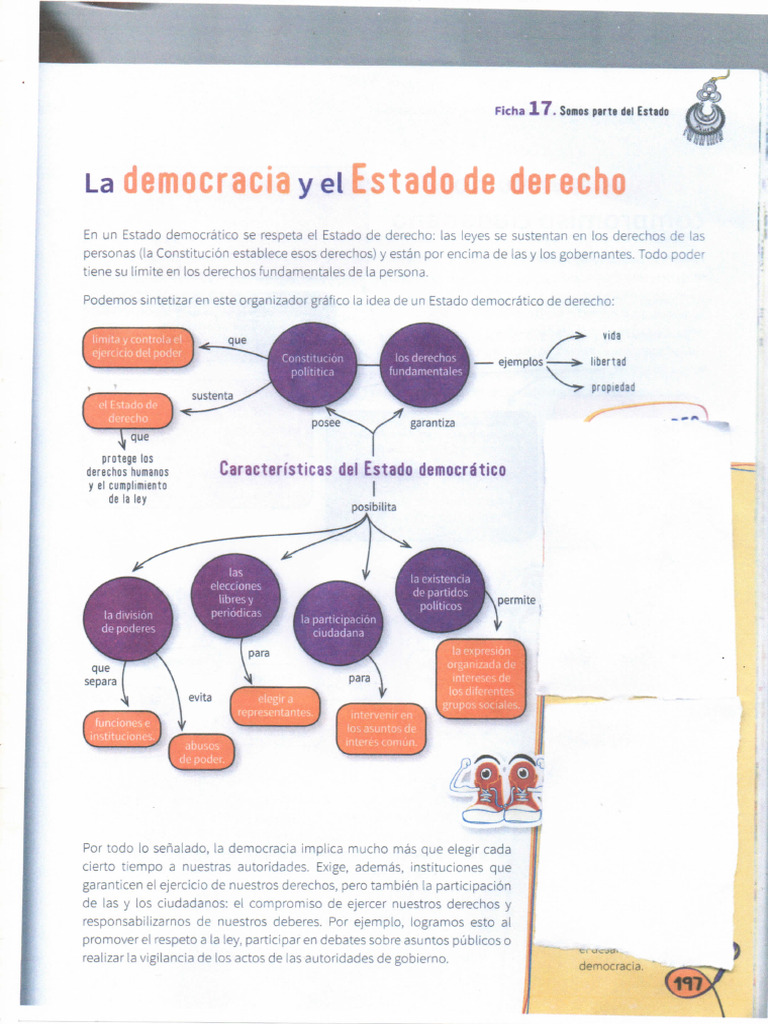 Democracia y Estado de Derecho | PDF