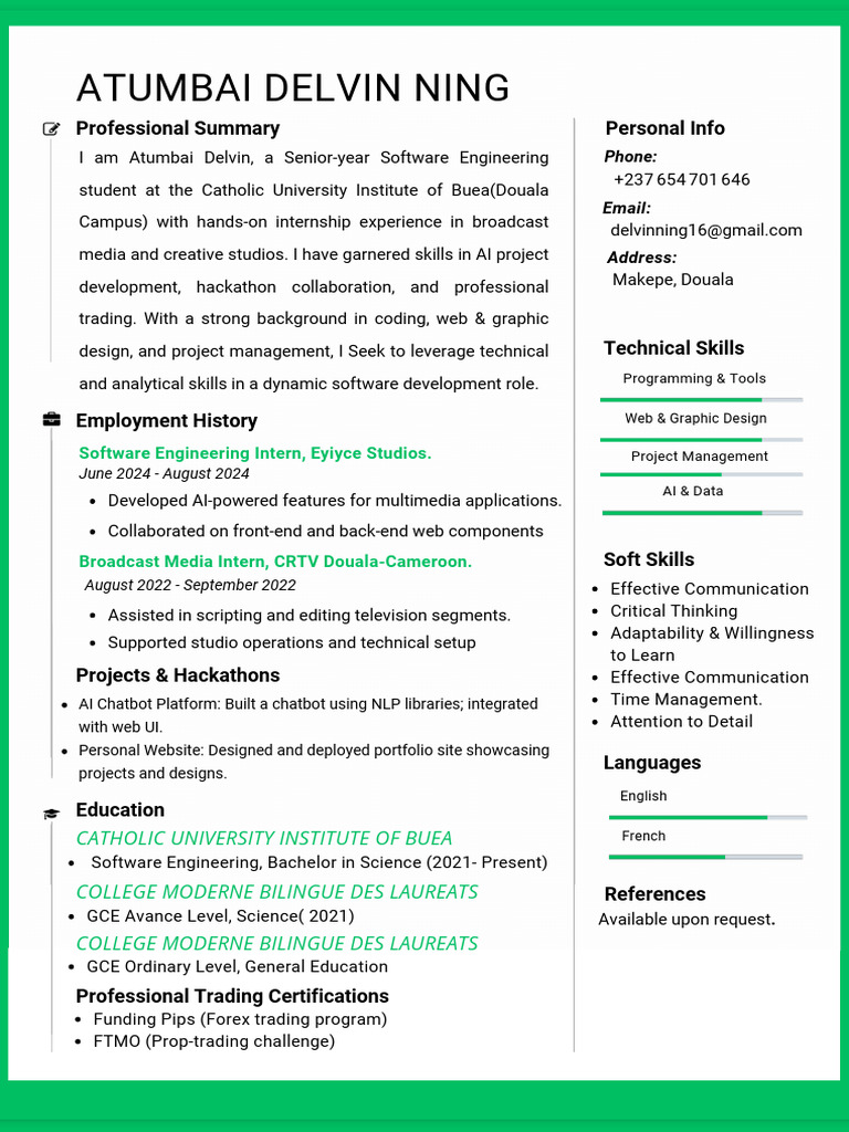 Software Engineering Student Profile | PDF | Computing | Information ...