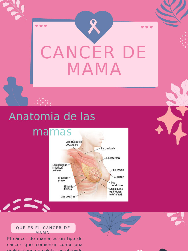 Presentación Octubre Rosa Orgánico Floral Rosa | PDF | Cáncer de mama ...