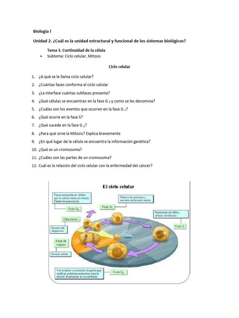 Cuest. Mitosis, Meiosis, Gametogénesis | PDF | Mitosis | Mitosis
