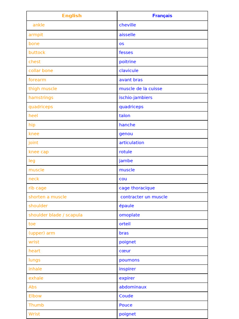 Anatomy Terms in English and French | PDF