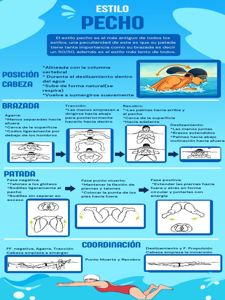 Guía del estilo pecho en natación | PDF