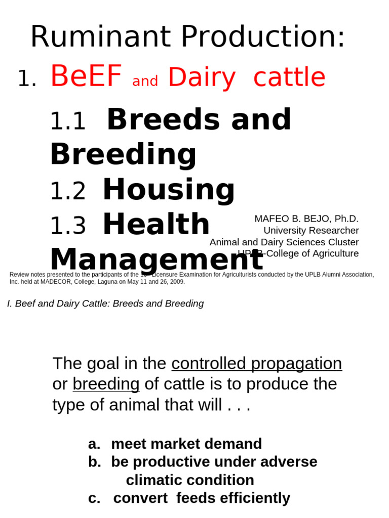 Beef and Dairy Cattle Management Guide | PDF | Cattle | Dairy Cattle