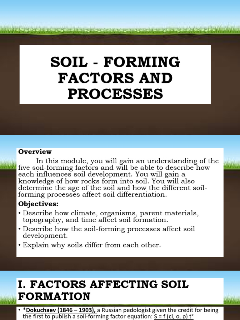 Soil Formation Factors and Processes | PDF | Soil | Weathering