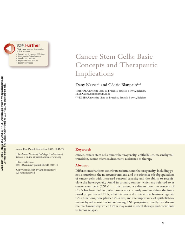 Cancer Stem Cells: Concepts & Therapy | PDF | Neoplasms | Cancer