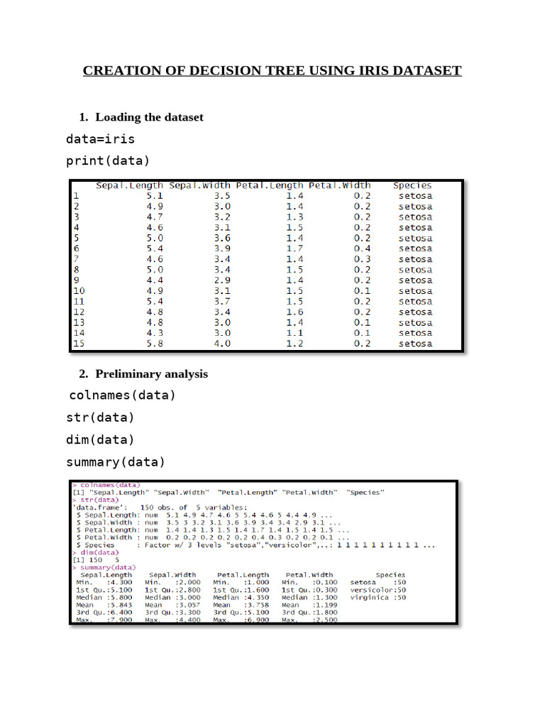 3 - Decision Tree Construction Using Iris Dataset | PDF