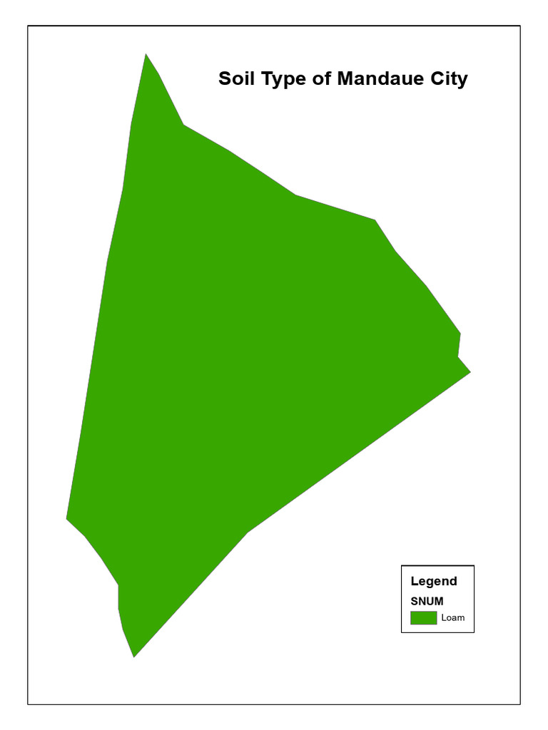 Soil Type of Mandaue | PDF