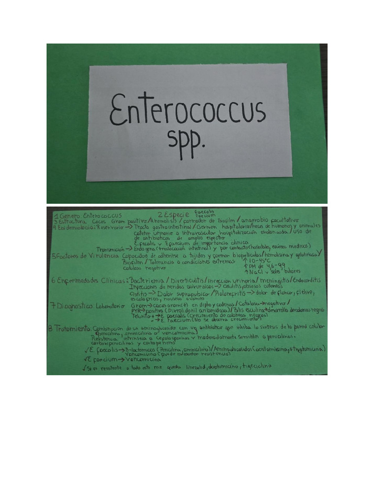 Flash Cards | PDF